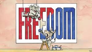 Political Freedom
