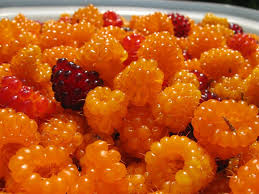 Salmonberry Oranye
