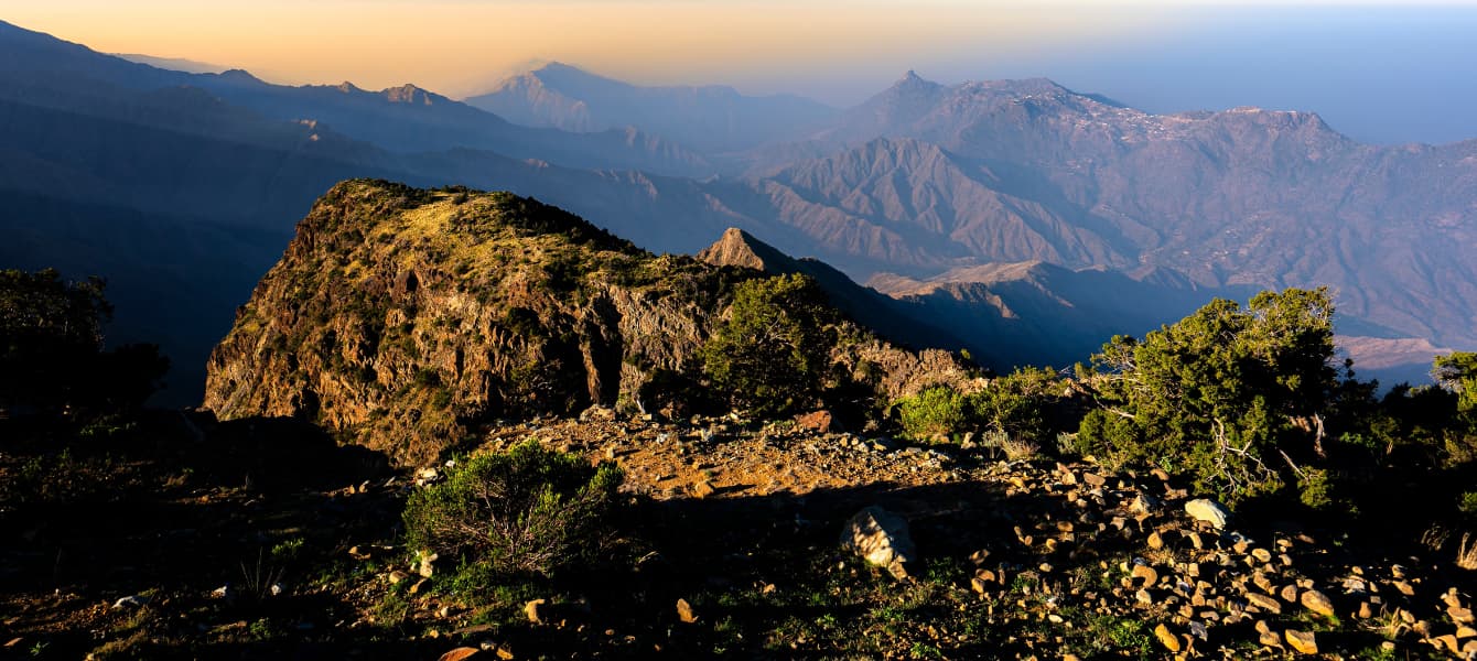 Wildlife in Asir National Park, including rare bird species 