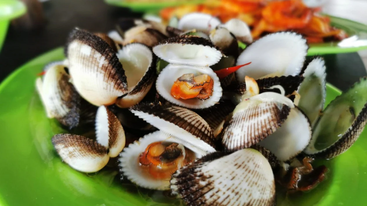 Kerang Rebus Lezat