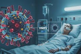 Virus HMPV