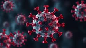 Virus HMPV