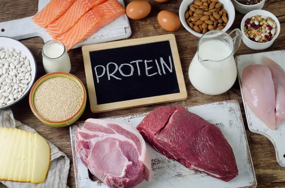 Fungsi Protein