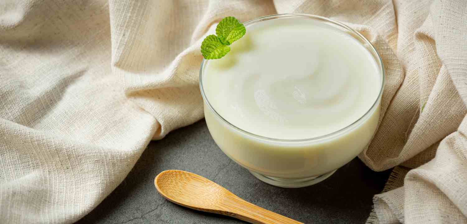 Yogurt Tawar